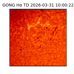 gong - 2026-03-31T10:00:22