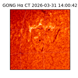 gong - 2026-03-31T14:00:42