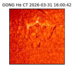 gong - 2026-03-31T16:00:42