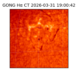 gong - 2026-03-31T19:00:42