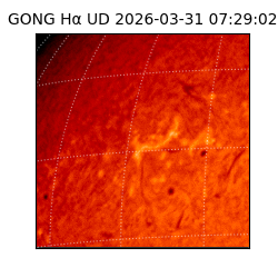 gong - 2026-03-31T07:29:02