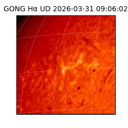 gong - 2026-03-31T09:06:02