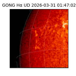 gong - 2026-03-31T01:47:02