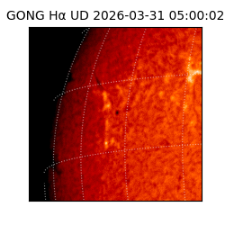 gong - 2026-03-31T05:00:02