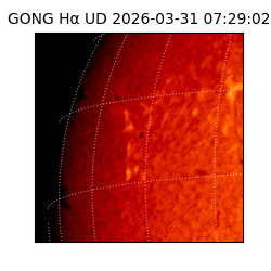 gong - 2026-03-31T07:29:02