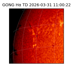 gong - 2026-03-31T11:00:22