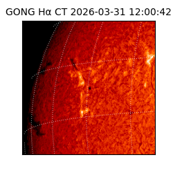 gong - 2026-03-31T12:00:42