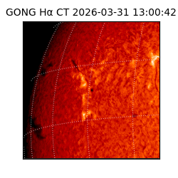 gong - 2026-03-31T13:00:42
