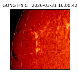 gong - 2026-03-31T16:00:42