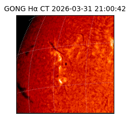 gong - 2026-03-31T21:00:42