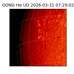gong - 2026-03-31T07:29:02