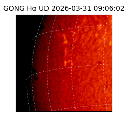 gong - 2026-03-31T09:06:02