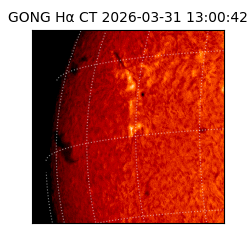 gong - 2026-03-31T13:00:42