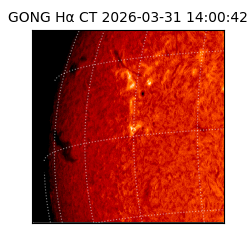 gong - 2026-03-31T14:00:42