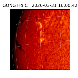 gong - 2026-03-31T16:00:42