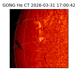 gong - 2026-03-31T17:00:42