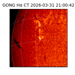 gong - 2026-03-31T21:00:42