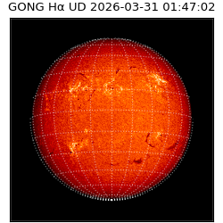 gong - 2026-03-31T01:47:02