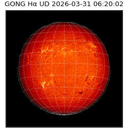 gong - 2026-03-31T06:20:02