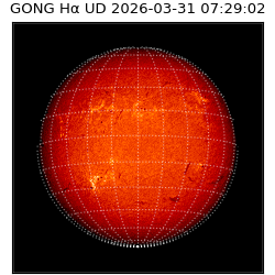 gong - 2026-03-31T07:29:02