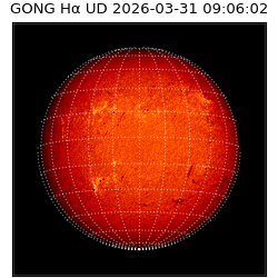 gong - 2026-03-31T09:06:02