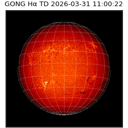 gong - 2026-03-31T11:00:22