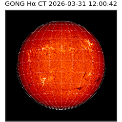 gong - 2026-03-31T12:00:42