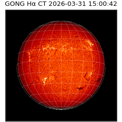 gong - 2026-03-31T15:00:42