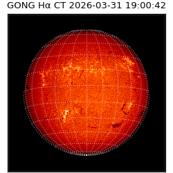 gong - 2026-03-31T19:00:42
