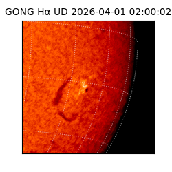 gong - 2026-04-01T02:00:02