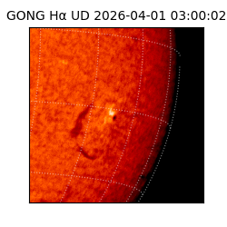 gong - 2026-04-01T03:00:02