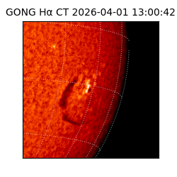 gong - 2026-04-01T13:00:42