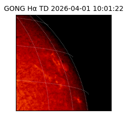 gong - 2026-04-01T10:01:22