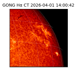 gong - 2026-04-01T14:00:42
