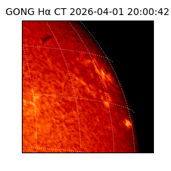 gong - 2026-04-01T20:00:42