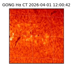 gong - 2026-04-01T12:00:42