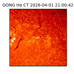 gong - 2026-04-01T21:00:42