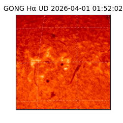 gong - 2026-04-01T01:52:02