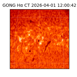 gong - 2026-04-01T12:00:42