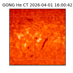 gong - 2026-04-01T16:00:42