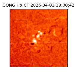 gong - 2026-04-01T19:00:42