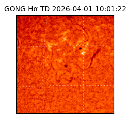 gong - 2026-04-01T10:01:22