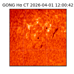 gong - 2026-04-01T12:00:42