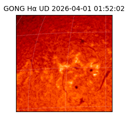 gong - 2026-04-01T01:52:02