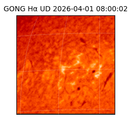 gong - 2026-04-01T08:00:02