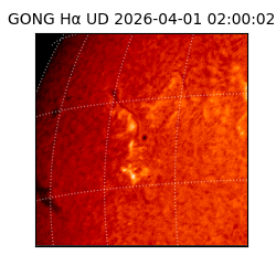 gong - 2026-04-01T02:00:02