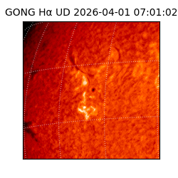 gong - 2026-04-01T07:01:02