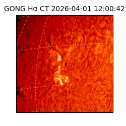 gong - 2026-04-01T12:00:42