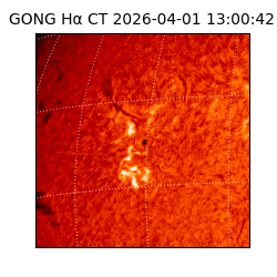 gong - 2026-04-01T13:00:42