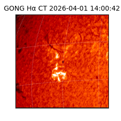 gong - 2026-04-01T14:00:42